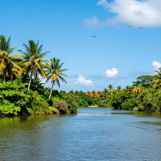 Descubra a APA Estuarina dos Rios Jaboatão e Pirapama Descubra a APA Estuarina dos Rios Jaboatão e Pirapama