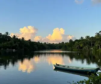 Descubra a Beleza da Lagoa Olho d'Água em Jaboatão dos Guararapes