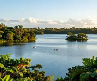 Descubra a Beleza da Lagoa Olho d'Água em Jaboatão dos Guararapes