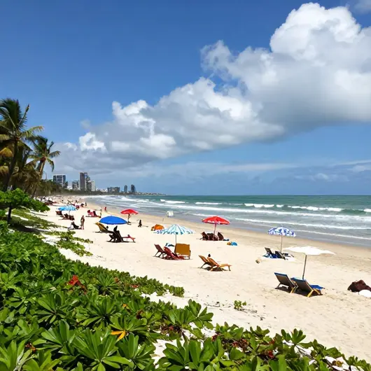 Descubra as Maravilhas de Boa Viagem
