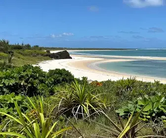 Descubra as Restingas e Vegetação Costeira de Jaboatão dos Guararapes