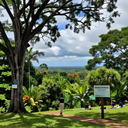 Descubra o Parque Estadual Dois Irmãos Descubra o Parque Estadual Dois Irmãos