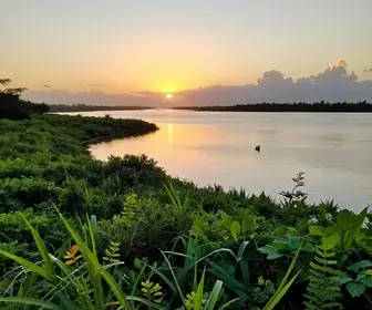 Descubra o Rio Pirapama e Seus Manguezais em Jaboatão dos Guararapes