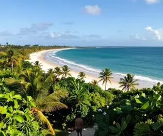 Dicas Essenciais para Visitar Áreas Naturais em Jaboatão dos Guararapes