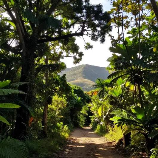 Explorando a Trilha Reserva Ecológica Manassu e Cova de Onça