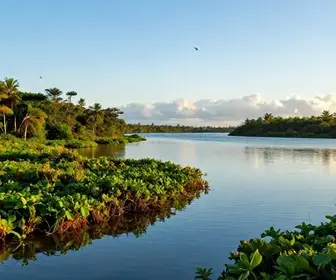 Explorando o Estuário do Rio Jaboatão: Natureza e Beleza Natural